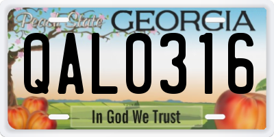 GA license plate QAL0316