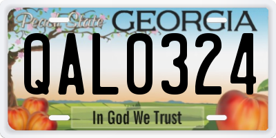 GA license plate QAL0324