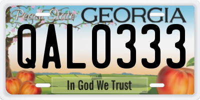 GA license plate QAL0333