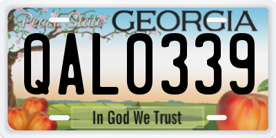 GA license plate QAL0339