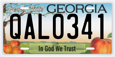 GA license plate QAL0341