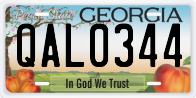 GA license plate QAL0344