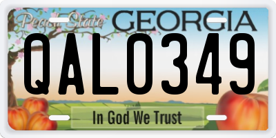 GA license plate QAL0349