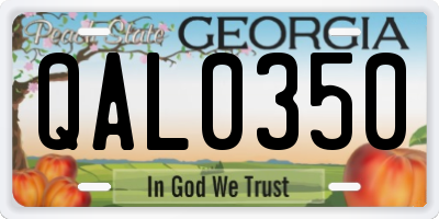 GA license plate QAL0350