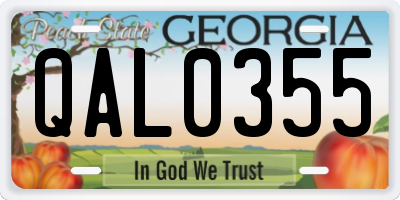 GA license plate QAL0355