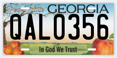 GA license plate QAL0356