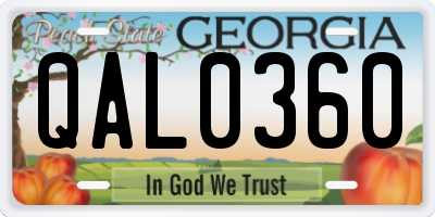 GA license plate QAL0360