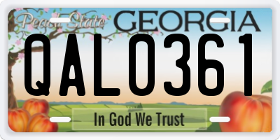 GA license plate QAL0361