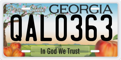 GA license plate QAL0363