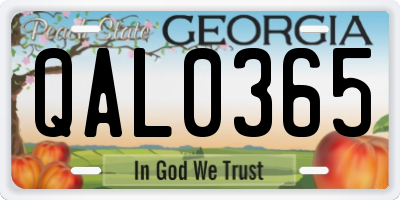 GA license plate QAL0365