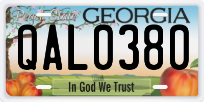 GA license plate QAL0380