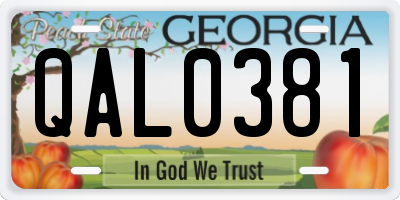 GA license plate QAL0381