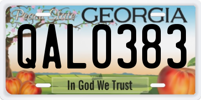 GA license plate QAL0383