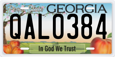 GA license plate QAL0384