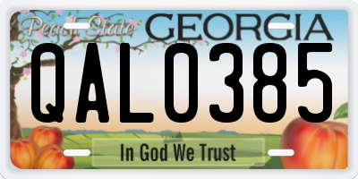GA license plate QAL0385