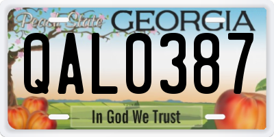 GA license plate QAL0387
