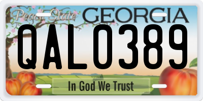 GA license plate QAL0389
