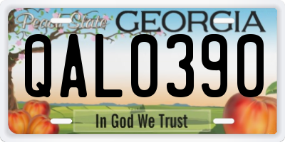 GA license plate QAL0390