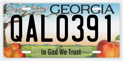 GA license plate QAL0391