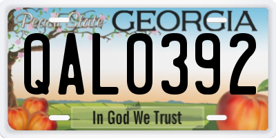 GA license plate QAL0392
