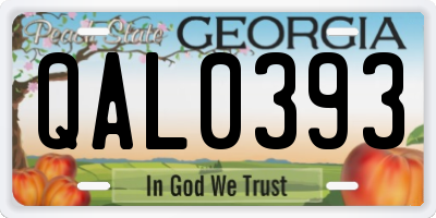 GA license plate QAL0393