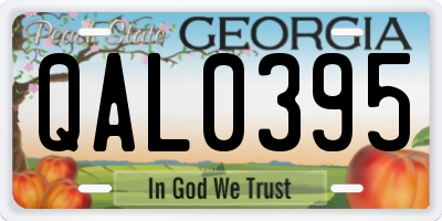 GA license plate QAL0395