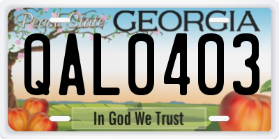 GA license plate QAL0403
