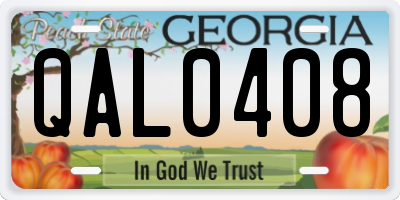 GA license plate QAL0408