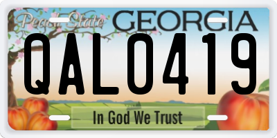 GA license plate QAL0419