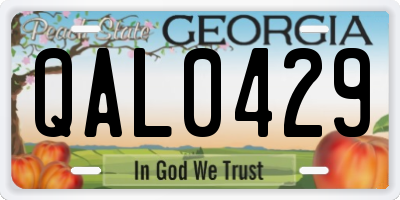 GA license plate QAL0429