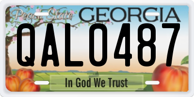 GA license plate QAL0487