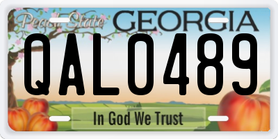 GA license plate QAL0489