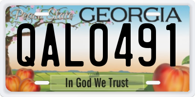 GA license plate QAL0491