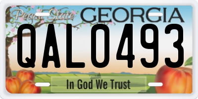 GA license plate QAL0493