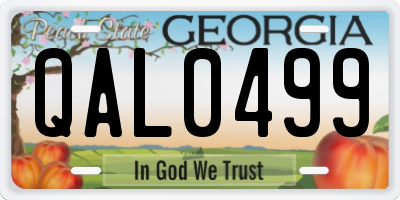 GA license plate QAL0499