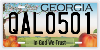 GA license plate QAL0501