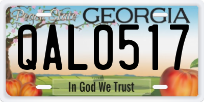 GA license plate QAL0517