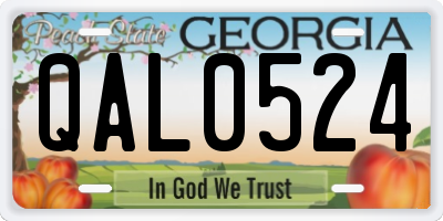 GA license plate QAL0524