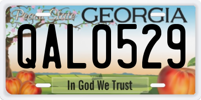GA license plate QAL0529