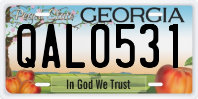 GA license plate QAL0531