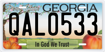 GA license plate QAL0533