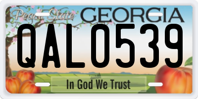GA license plate QAL0539