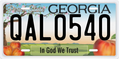 GA license plate QAL0540