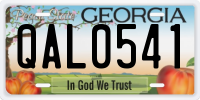 GA license plate QAL0541