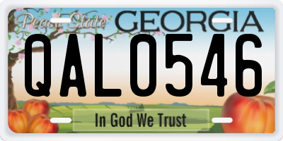 GA license plate QAL0546