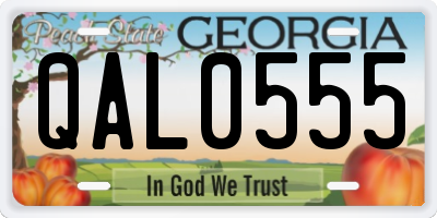 GA license plate QAL0555