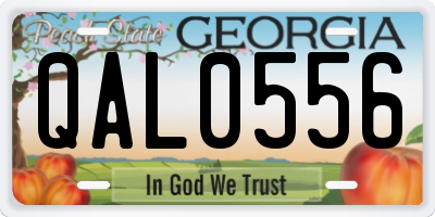 GA license plate QAL0556