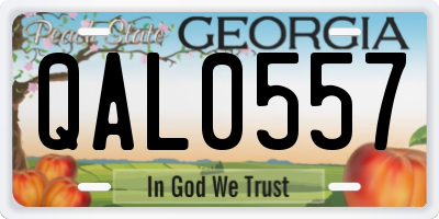 GA license plate QAL0557