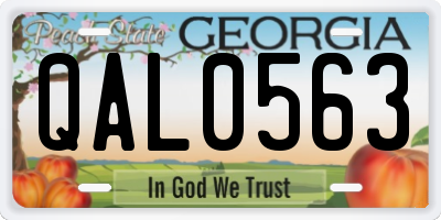 GA license plate QAL0563