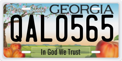 GA license plate QAL0565